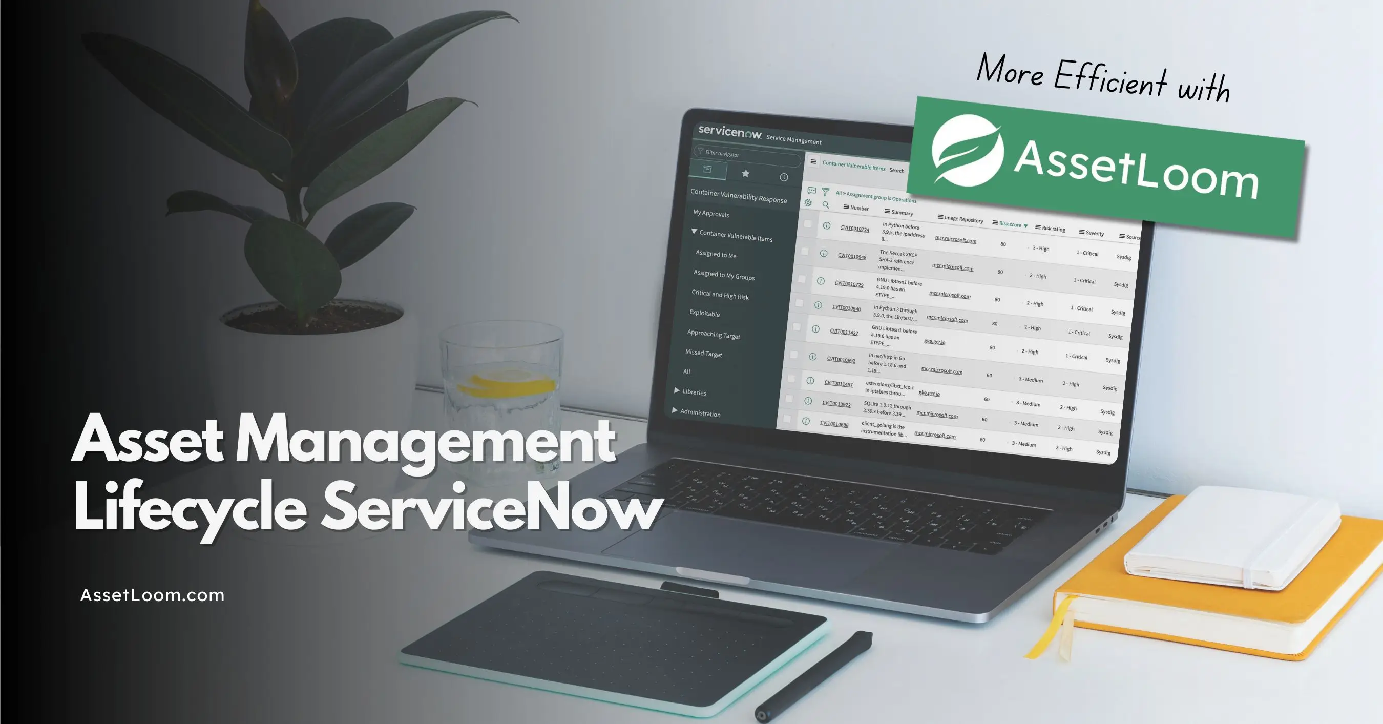 Asset Management Lifecycle ServiceNow: More Efficient with AssetLoom