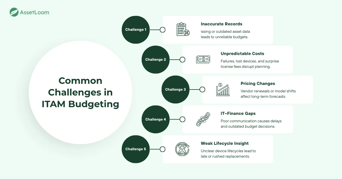 Common Challenges in ITAM Budgeting