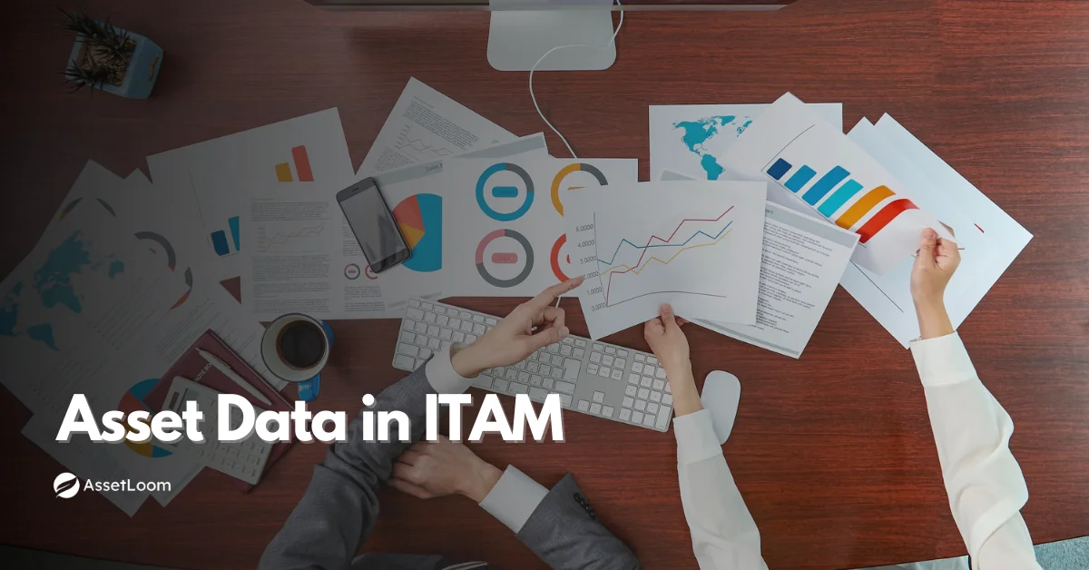 What Is Asset Data in IT Asset Management?